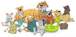 Ambulatorio Veterinario Cavallotti, Monza orari di apertura