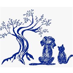 Clinica Veterinaria della Selva, Borghetto orari di apertura