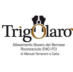 Allevamento Bovaro del Bernese - TRIGOLARO KENNEL, Pegognaga orari di apertura