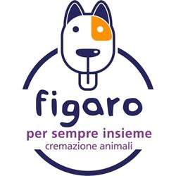 Figaro Cremazioni Animali, Montevarchi orari di apertura