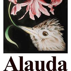 Alauda associazione, Adelfia orari di apertura