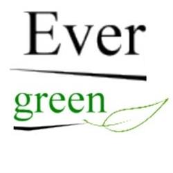 Assistenza Evergreen srls, Robecchetto con Induno orari di apertura