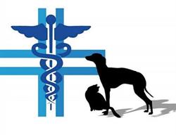 Ambulatorio Veterinario Dott. Mecca, Ciriè orari di apertura