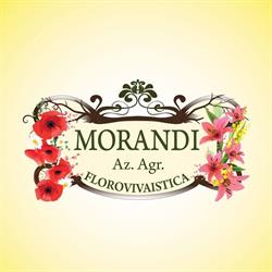 Vivaio Morandi, Santarcangelo di Romagna orari di apertura