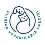 Clinica Veterinaria Falzini, Morlupo orari di apertura