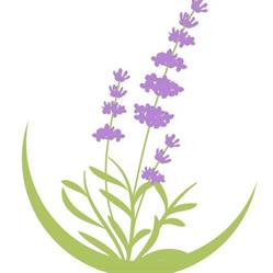 PROFUMO DI LAVANDA, Spianate orari di apertura