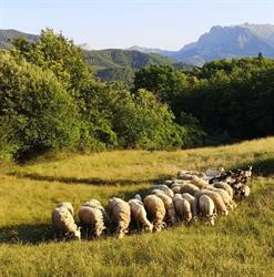 Agriturismo "La Calamaia" Minucciano, Gorfigliano - Orari di apertura