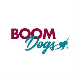 Associazione sportiva cinofila "Boom Dogs" - agility school, Formello orari di apertura