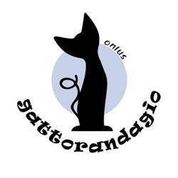 Gattoparco, Curtatone orari di apertura