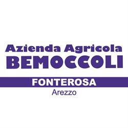 Macelleria Bemoccoli, Arezzo orari di apertura