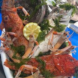 Pescheria Roby Sea Fish, Villaricca orari di apertura