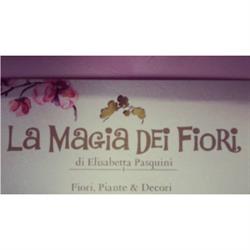 La Magia dei Fiori, Santa Maria in Strada orari di apertura