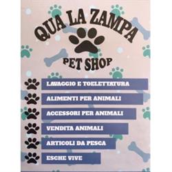 Qua la zampa, Cancello ed Arnone orari di apertura