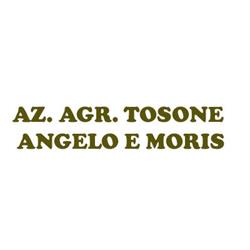 Az. Agr. Tosone Angelo e Moris, Nespoledo orari di apertura
