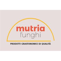 Mutria Funghi S.r.l, Cusano Mutri orari di apertura
