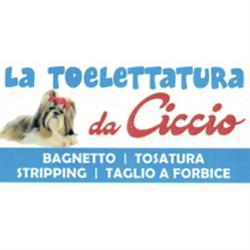 Toelettatura da Ciccio, Catania orari di apertura