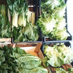 Minimarket di Syed Sajawal Abbas, Cinisello Balsamo orari di apertura