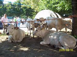 La Presa Azienda Agricola, Masone orari di apertura