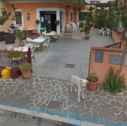 Sister's Bar, Ortona orari di apertura