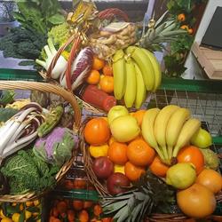 Azienda Agricola Bamonte Mario, Castel San Pietro Terme orari di apertura