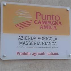 Azienda Agricola Masseria Bianca, Corigliano d'Otranto orari di apertura