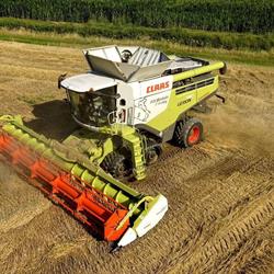 Azienda Agricola F.lli Bortolin, Costa di Rovigo orari di apertura
