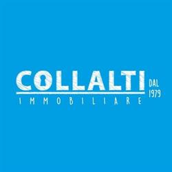 Collalti Immobiliare, Nettuno orari di apertura