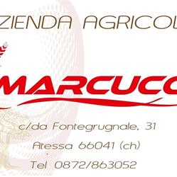 Azienda Agricola Marcucci, Atessa orari di apertura