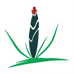 Azienda Agricola Zafferano di Persiani Roberto, Cascia orari di apertura