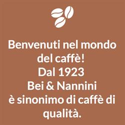 Bei e Nannini Srl, Lucca orari di apertura