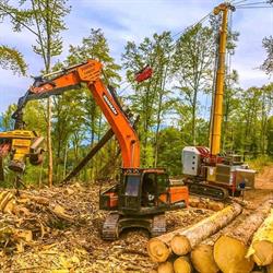 Todesco Forest & Snow Service Srl, Pedavena orari di apertura