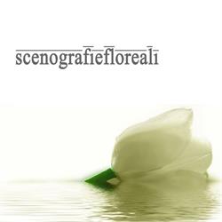 Scenografie Floreali, Milano orari di apertura