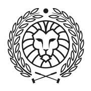 Venezia Mestre Bike Polo Asd, orari di apertura