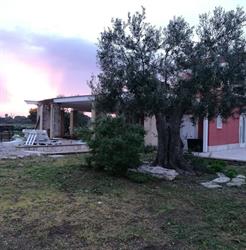 Casale Monte d'Alba, Trani orari di apertura