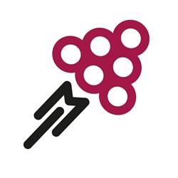 Wine Marketing Italia, Savigliano orari di apertura