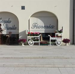 L'Angolo Fiorito di Alessandra, Codevigo orari di apertura