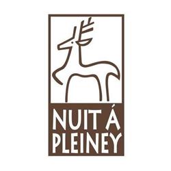 Nuit à Pleiney, Saint-Rhémy-en-Bosses orari di apertura
