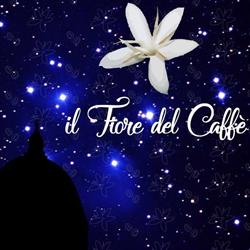 Il Fiore del Caffe, Firenze orari di apertura