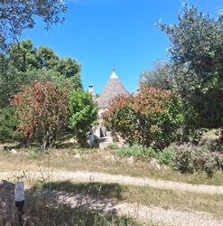 Bed and breakfast Trulli sotto LA CUPA, Martina Franca orari di apertura