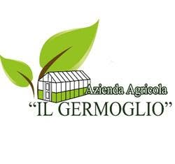 Il Germoglio di Basili, Sant'Elpidio a Mare orari di apertura