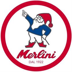 Merlini - Funghi, Vegetali e Frutti del Bosco, Sommacampagna orari di apertura