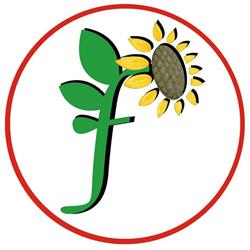 Fiordipizza, Rufina orari di apertura