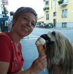 Gelateria Dolcemania, Milano orari di apertura