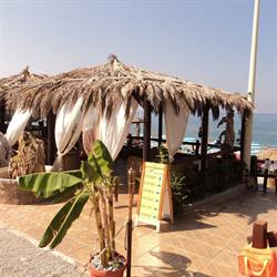 Lido Mediterraneo, Gizzeria lido orari di apertura