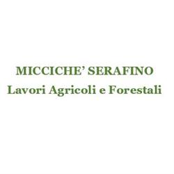 Micciche Eliseo, Vittoria orari di apertura
