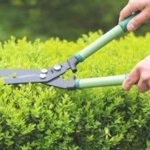 Supergreen, Terracina orari di apertura