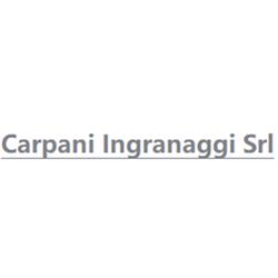 Carpani Ingranaggi Srl, Lizzano in Belvedere orari di apertura