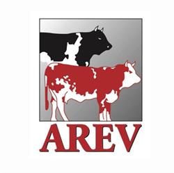 A.R.E.V., Aosta orari di apertura