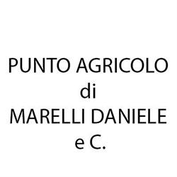 Punto Agricolo - Ricambi Agricoli Di Marelli Daniele & C., Concesio orari di apertura