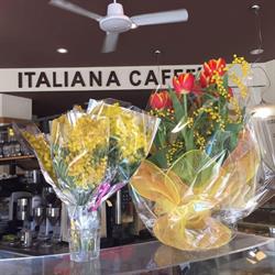 Caffetteria Italiana Caffè Venezia, orari di apertura